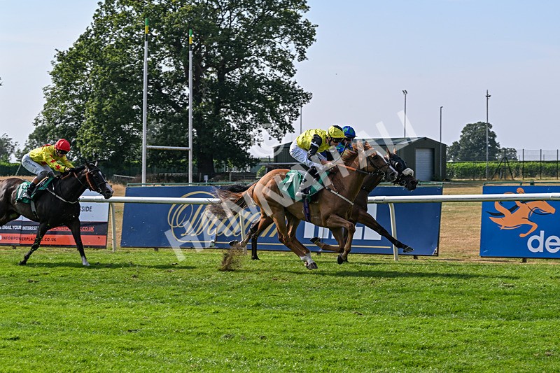 160726-Race 6-Capital Guarantee-5143 - Race 6 16.45pm Thirsk Sky Bet Summer Festival Day Friday 24th July Handicap