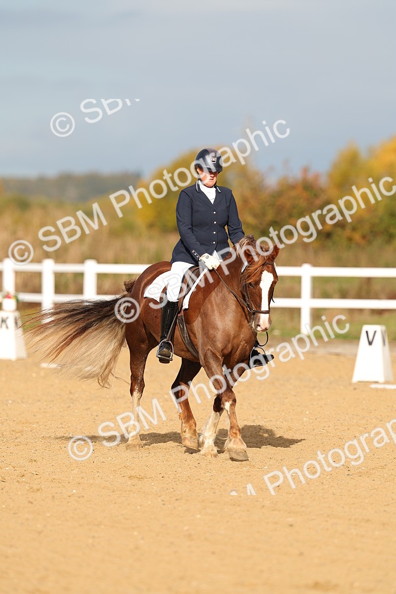 SBM_009274 - Class 1 - P4