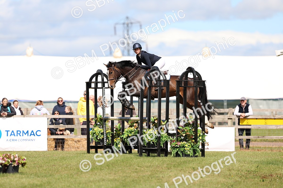 SBM_13520 - Class 206 - Senior Newcomers - 1.10m Open