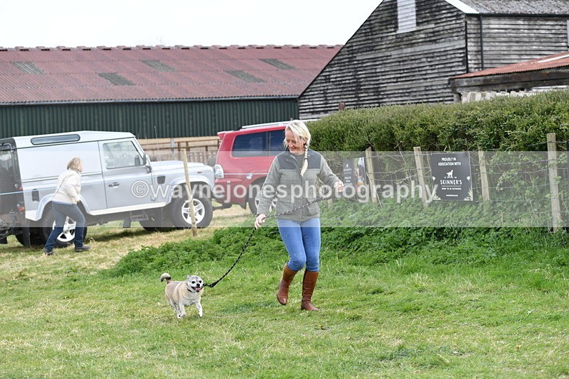 WJ5_0082 - Class 5 Best Veteran / 7 years & over