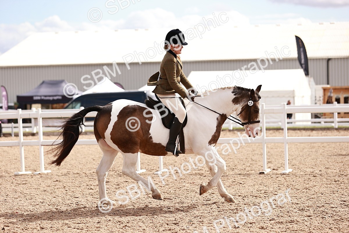 SBM_14376 - Class 409 - Grassroots Ridden - Pony