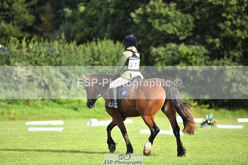 230826-090226-15006 - Sections C & D 9 to 10am