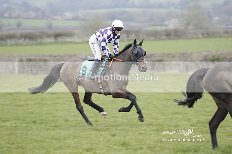 PtP 050323 388 - Blackmore & Sparkford Vale Hunt PtP - Somerset 05/03/23