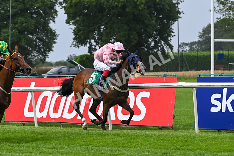 250725-Graham Lee IJF Stable Staff Stakes-E-3869 - The Graham Lee IJF Fund Stable Staff Stakes