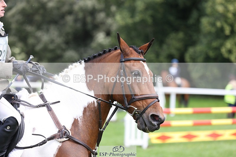 230805-135712-03409 - SJ 13 to End