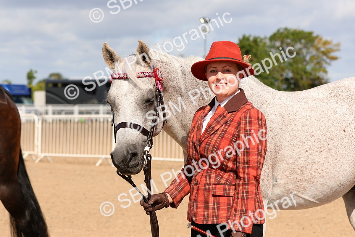 SBM_11731 - Class 208 - IH Veteran Horse