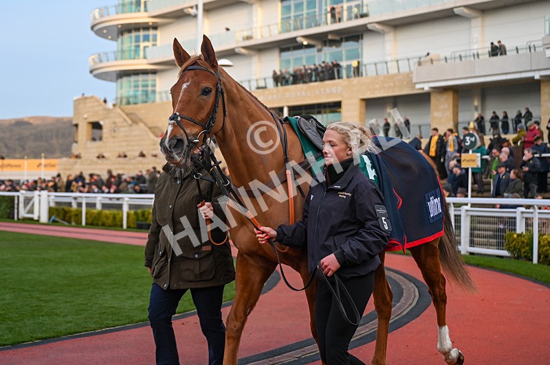 250125-Race 7-Quebecois-3851 - Race 7