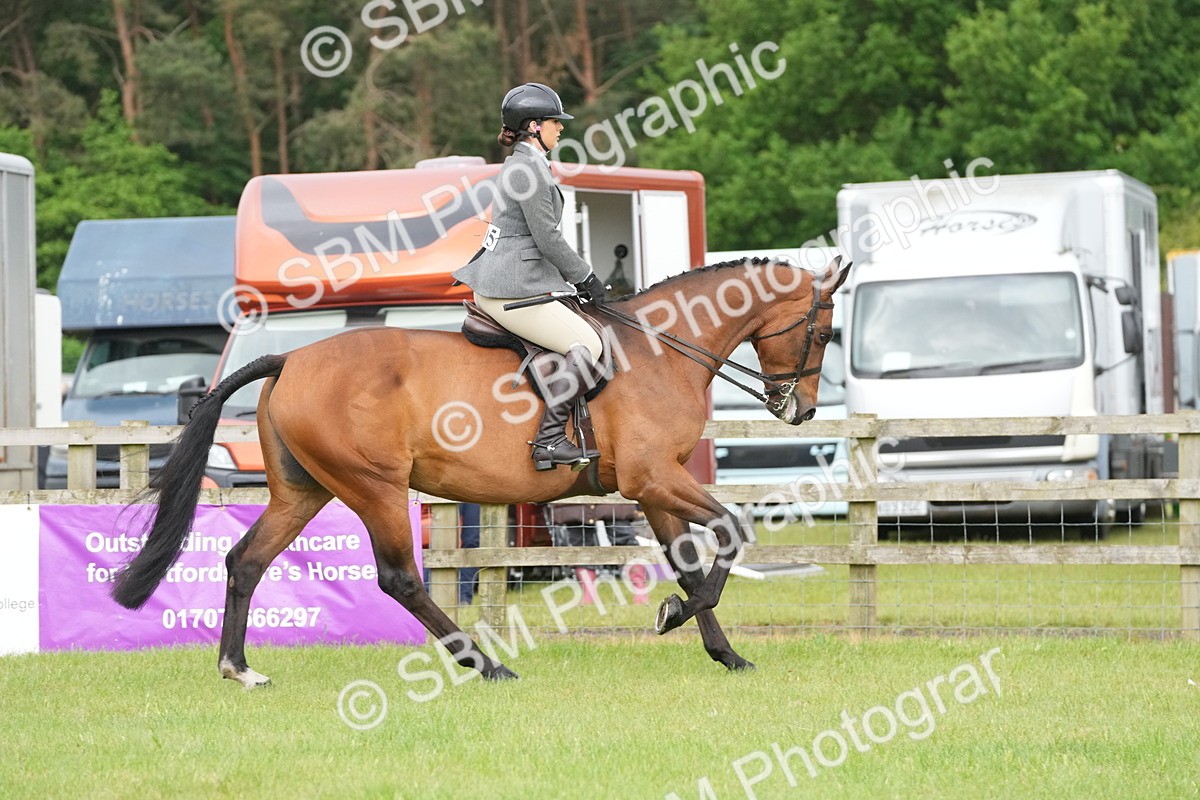 SBM_12662 - Class 97-98 - LIHS BSHA Rising Star Working Show Horse Hunter