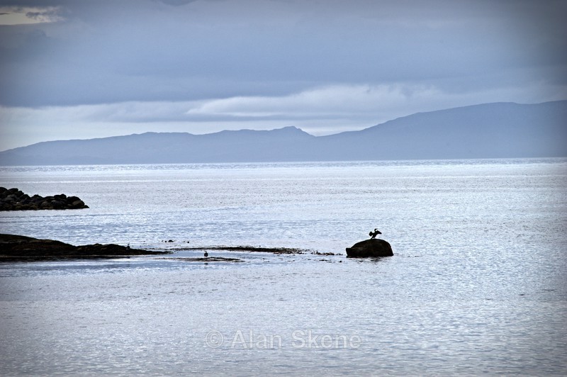 DSC00781 - the sea