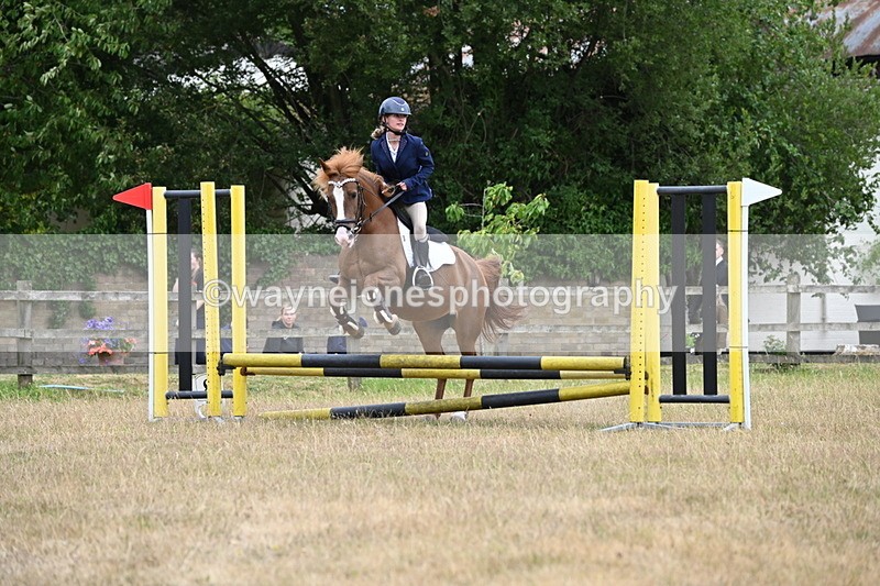 WJ6_0213 - Class 13 Novice Jumping 60cm