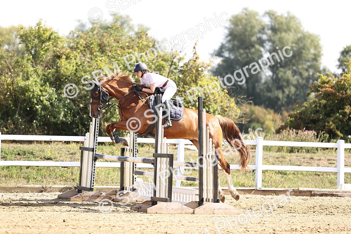 SBM_005645 - Class 9 - Senior British Novice - 90cm