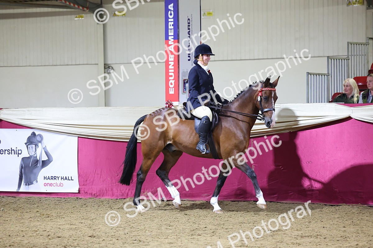 0B8A4511 - Class P Veteran Champ