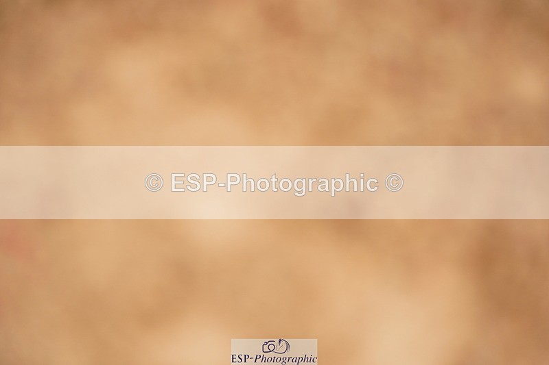 240526A-114150-07870 - Cls 26 Chard Equ 1.05m and 1.10m Grand Prix