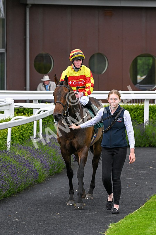 180624-Race 3-High Opinion-0328 - Race 3