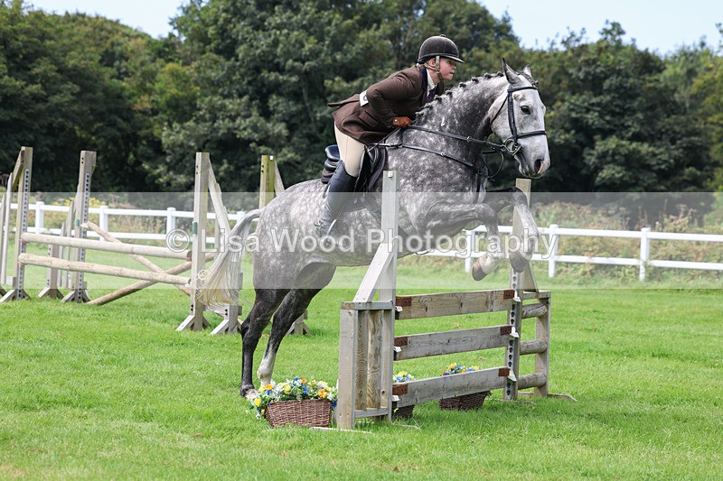 3E7A8866 - Class 6: Open Working Horse