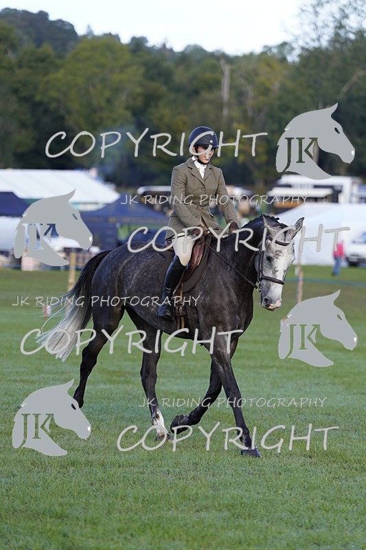 _DSC9395 - Class 8 & 17 Ridden Hunter & Ridden Hunter Pony