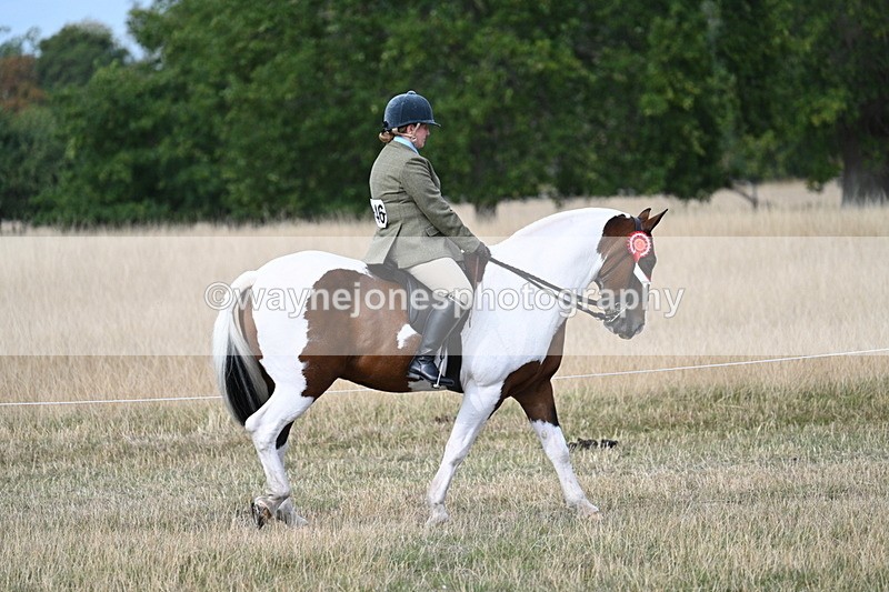 WJ7_7566 - Ridden Championship