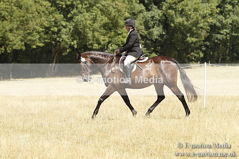 _BS_0754 - BVRC Show 2018 Ring 1