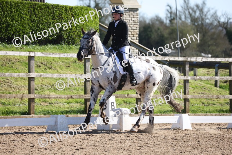 20260318-0479 - Class 5 - Novice 2