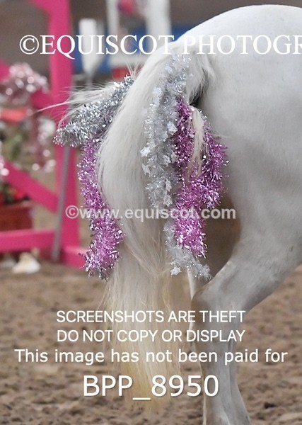 BPP_8950 - CLASS 1 Beginners Show Jumping