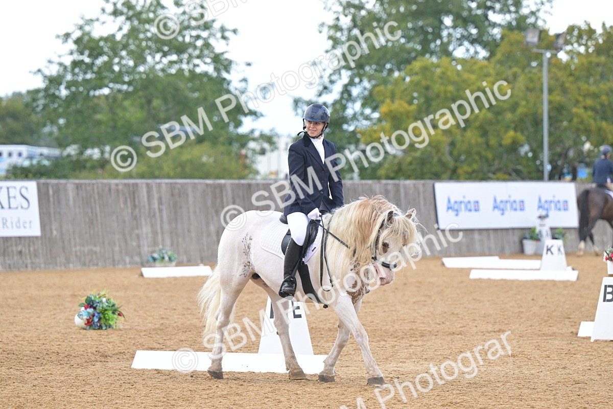 SBM_11202 - D3 - Small Tour Championship Intro 3