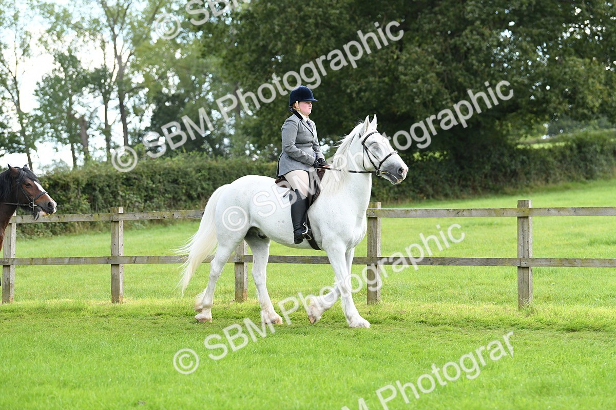 SBM_46759 - S12 - Family Horse & Pony