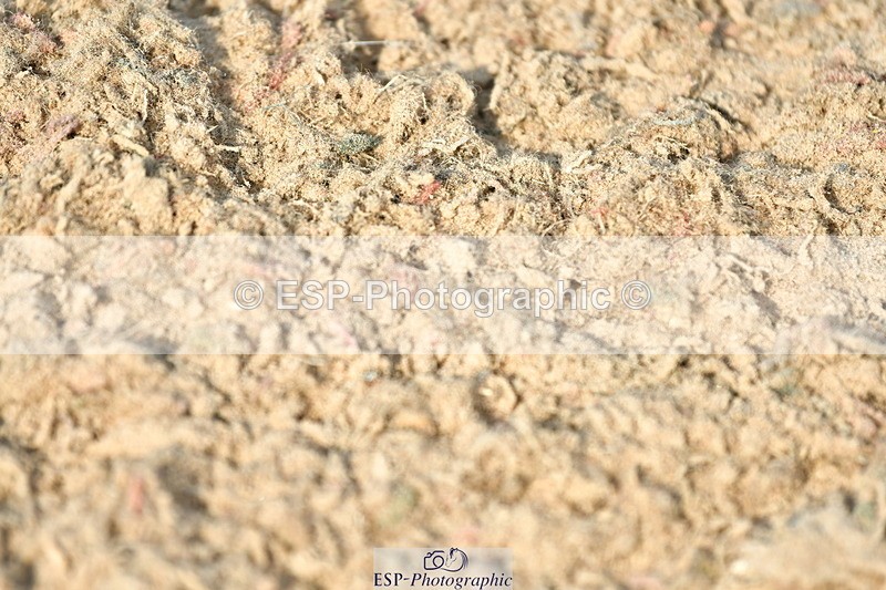 230721A-091758-04678 - Cls 26, 5 Yr Olds 1.10m