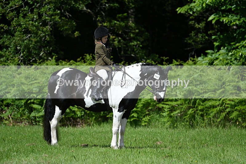 WJ7_1121 - Class 11 Condition & Turnout
