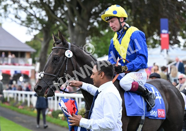 230825-094 Never So Brave - Race 3 3.00pm Sky Bet City Of York Stakes