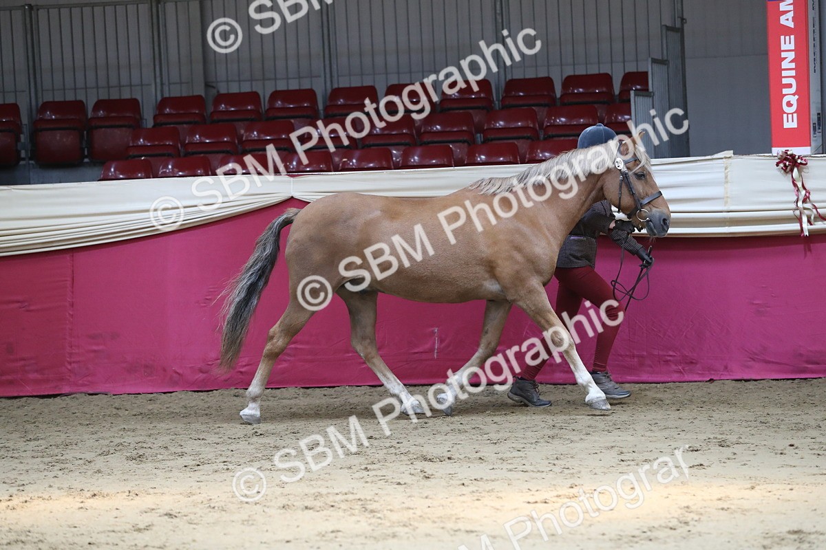 SBM_04373 - Class 7R Regional - IH Diamond