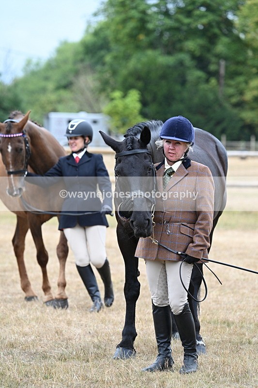 WJ7_0138 - Class 5a Most Handsome Gelding (above 14.2hh)