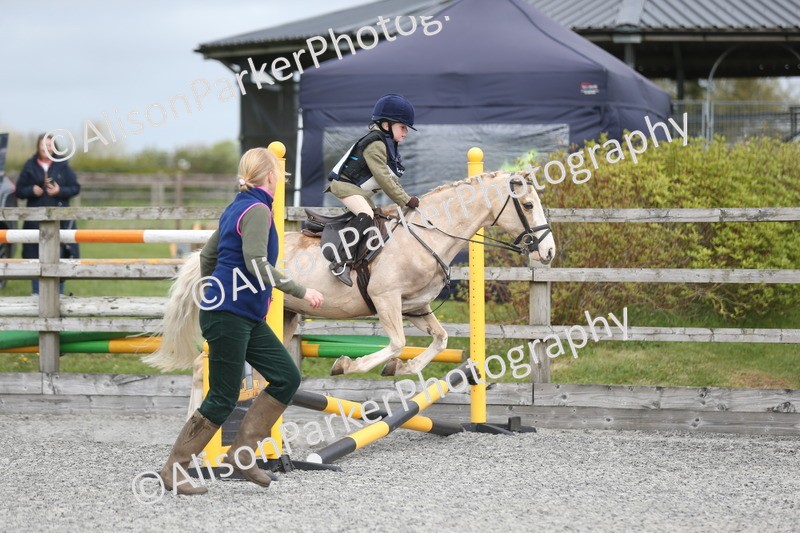 20260412-0141 - Show Jumping