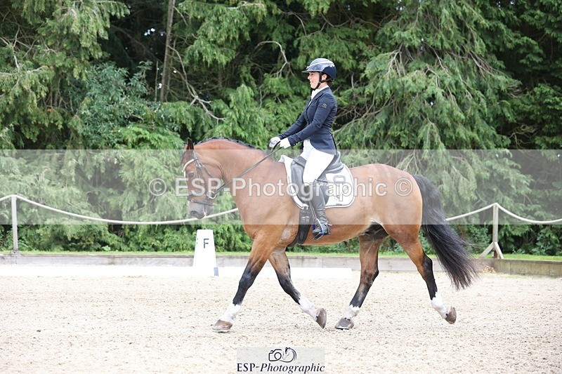 230812-150832-05055 - Cls 5 Novice Bronze 15.00 to End