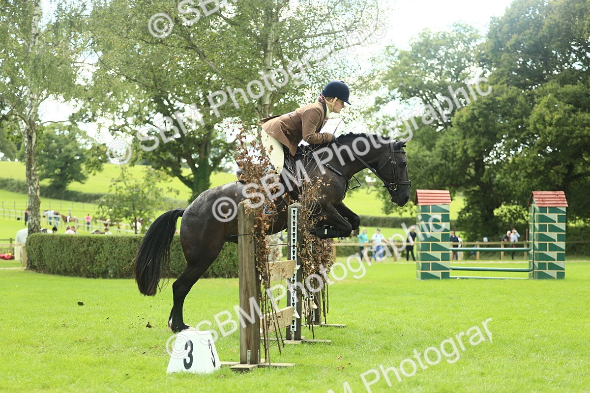 SBM_44768 - S31 - Working Hunter Pony