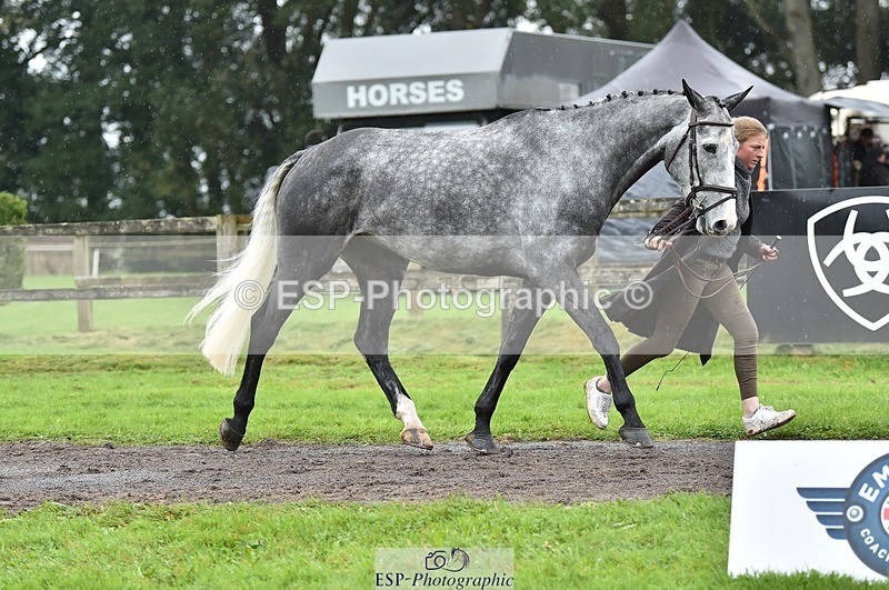 231018-124902-00545 - 068-DASSETT.PREMIER-Kate.Rocher-Smith-TrotUp