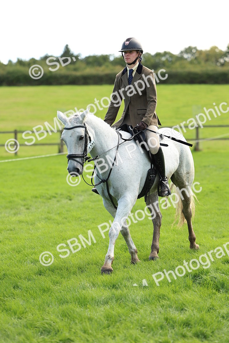 SBM_45531 - S33 - Working Hunter Pony