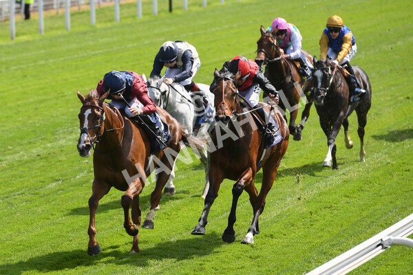 yr12052022r2-22 - Race 2 2.25pm Al Basti Equiworld Dubai Middleton Fillies' Stakes