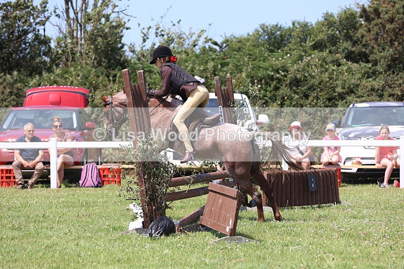 JPP_2447 - Class 21: Working Hunter 60cm