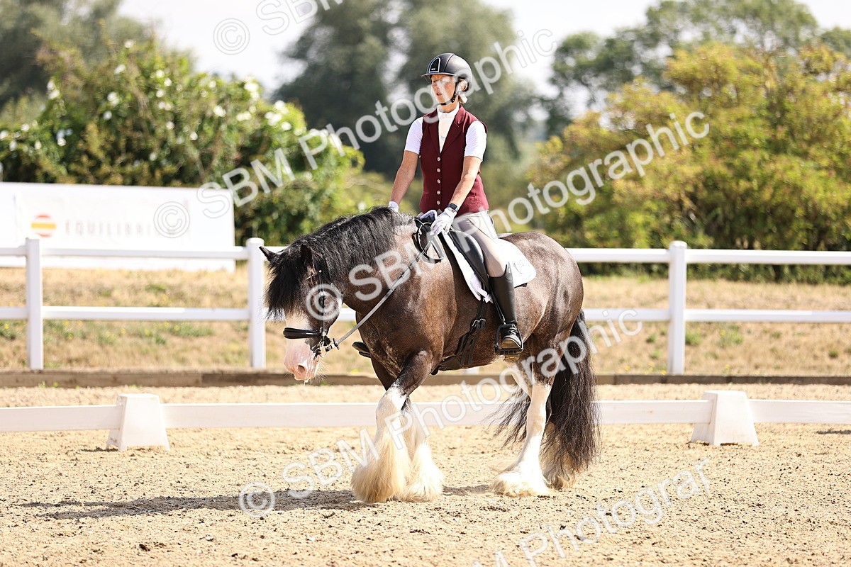 SBM_006493 - Intro 3 - 9.46-10.46