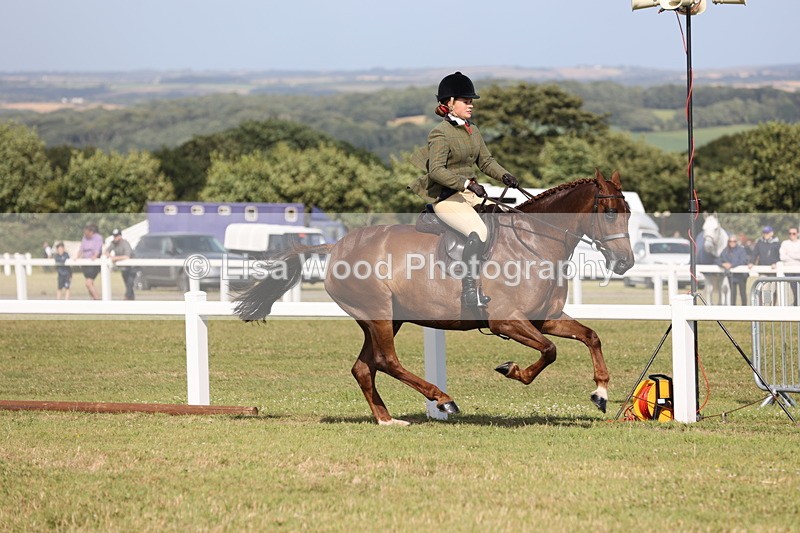 JPP_2938 - Class 20: Working Hunter 70cm