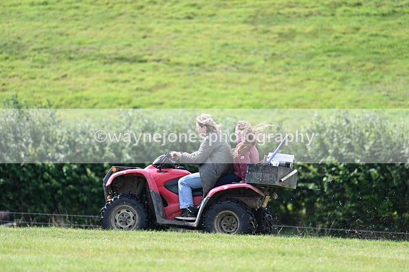 WJ7_6281 - Time 11:29 to 11:45