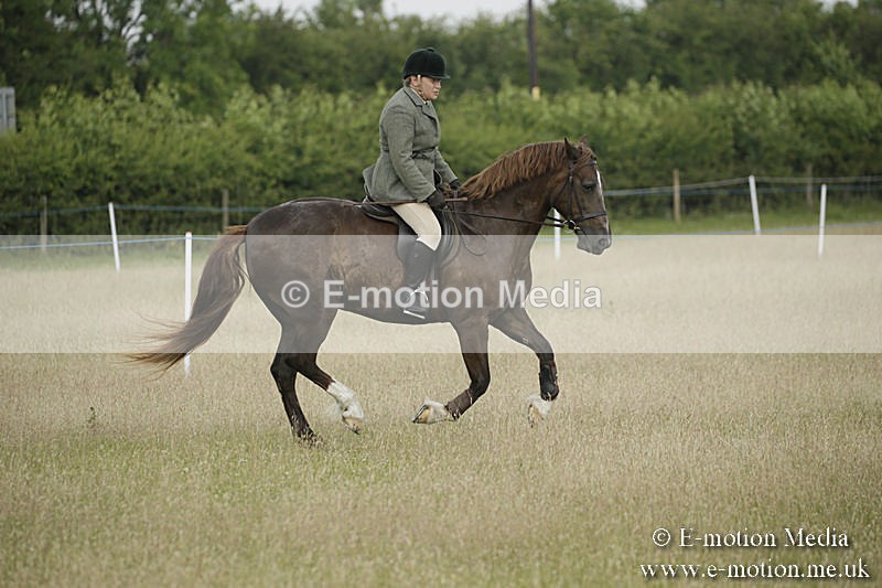B230619-0187 - Bourne Valley Riding Club Summer Show 23/06/19