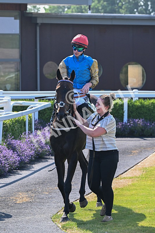 150726-Race 5-Naval Light-3603 - Race 5 16.10pm Try Racing TV For Free Now Handicap