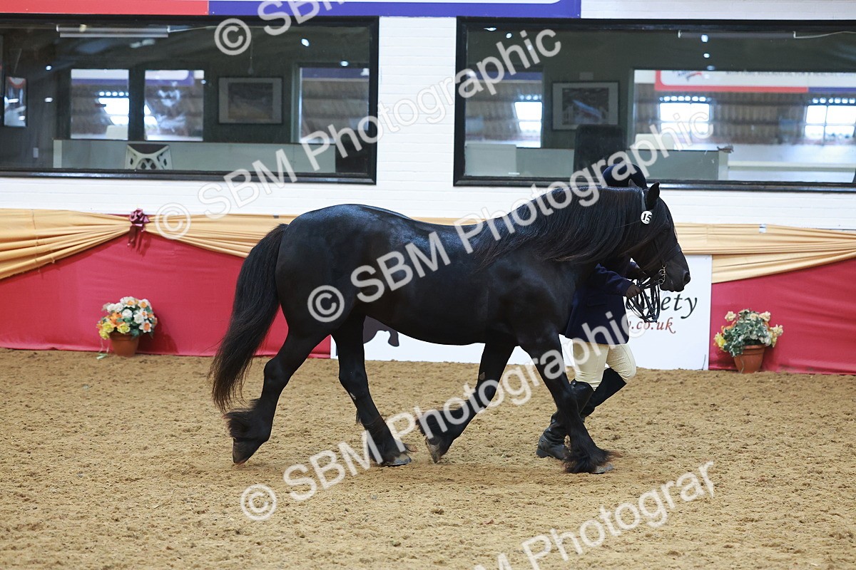 SBM_17847 - Class 952 - M&M Ridden Supreme Final