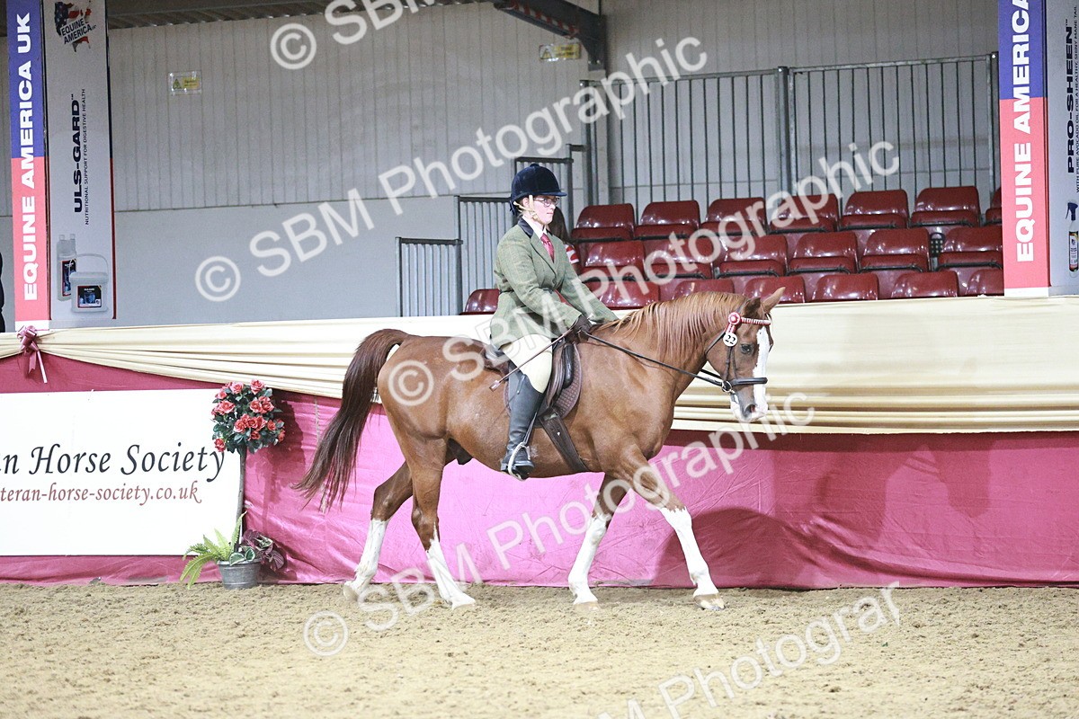 SBM_07981 - Class 11R - Regional Ridden Veteran