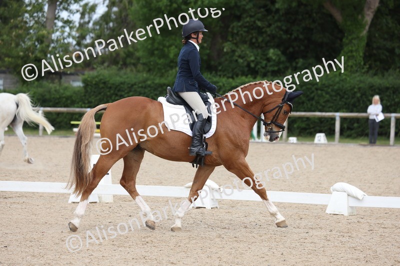 20250604-0473 - Class 3 - Novice 5