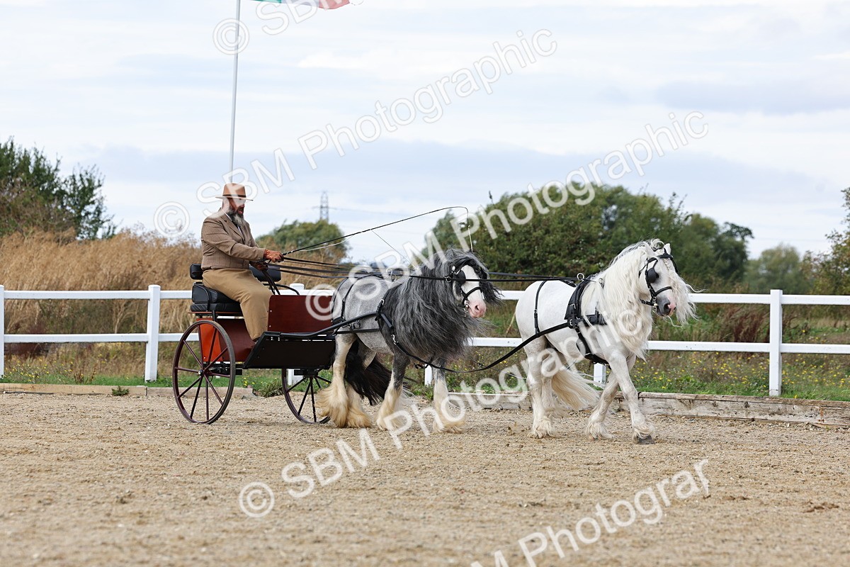 SBM_001132 - Class 16 - Pairs ,Multiples and Tandems