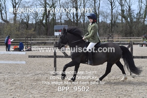 BPP_9502 - RING 2 - M&M