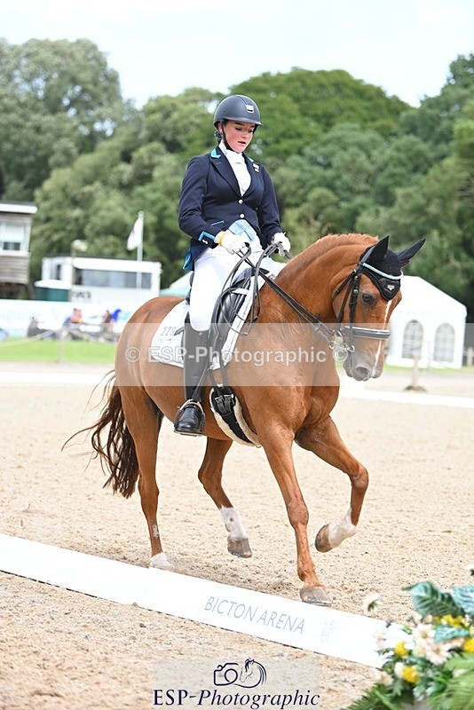 230813-134140-07623 - Cls 13 Medium Bronze 13.15 to End