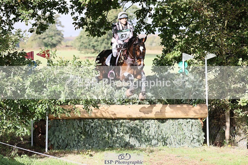 231020-115721-06846 - 057-OVERTON.TILANA'S.GOLD-Claire.Deuten-XC